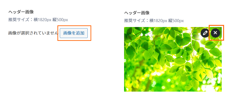 画像フィールド